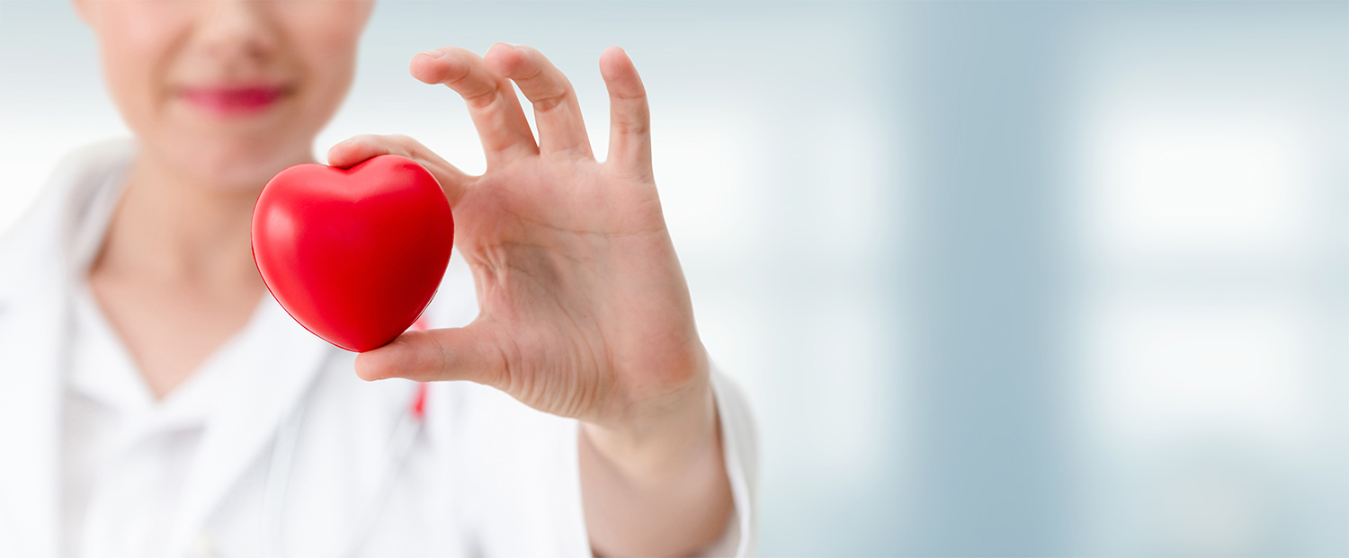 doctor holding up toy heart in cardiology office
